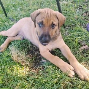 Meet your Posher, Mitch